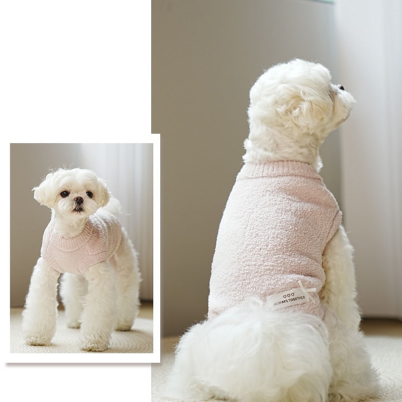 Dog Cat Sweater Jumper Cute Minimalist Winter Warm Breathable Soft Washable Comfortable Outdoor Casual Daily Dog Clothing for Bichon Frise Pomeranian Baby Pet Papillon Small2