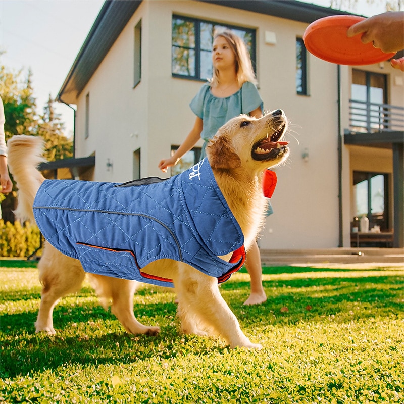 Dog Cat Coat Jacket Fashion Party Winter Reflective Waterproof Warm Breathable Double-Sided Christmas Halloween Outdoor Casual Daily Dog Clothing for Bichon Frise Pomeranian Baby Pet Papillon Small