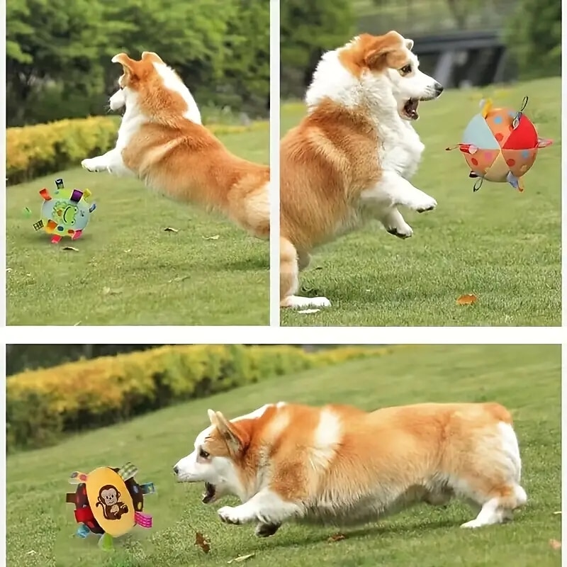 1pc Interactive Pet Ball Toy with Squeaker for Fun Training and Playtime4