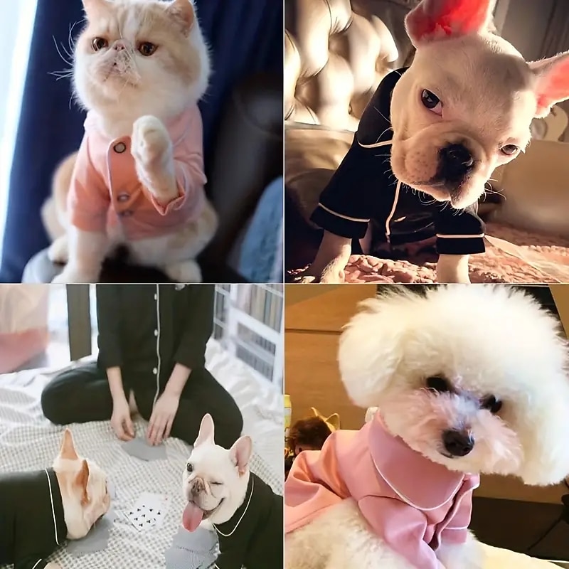 Dog Cat Pajamas Fashion Casual Breathable Soft Washable Comfortable Outdoor Casual Daily Dog Clothing for Bichon Frise Pomeranian Baby Pet Papillon Small4