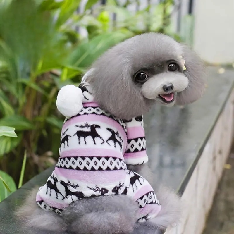 Dog Cat Hoodie Christmas Costume Christmas Outfit Party Casual Winter Warm Breathable Soft Washable Comfortable Christmas Outdoor Casual Daily Dog Clothing for Bichon Frise Pomeranian Baby Pet4