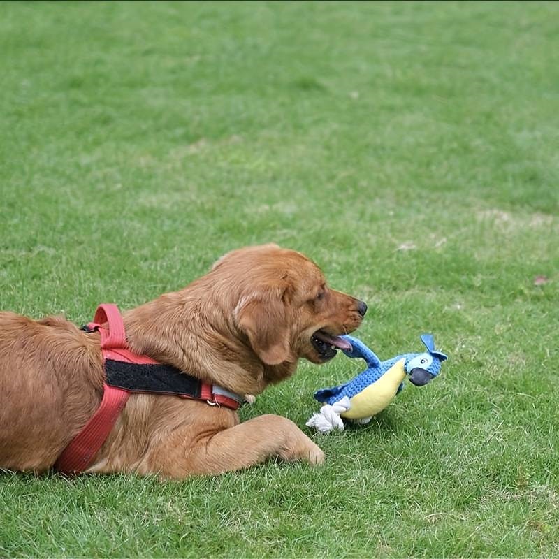 1pc Budgerigar/Owl/Macaws/Parakeets Design Pet Grinding Teeth Squeaky Plush Toy Durable Chew Toy For Dog Interactive Supply2