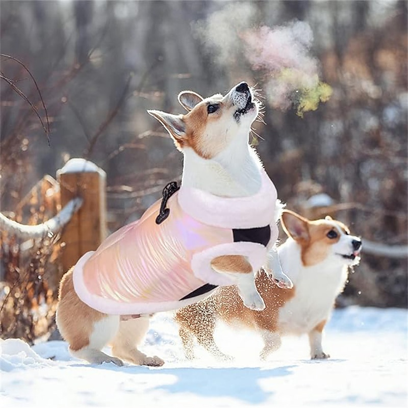 Dog Cat Coat Jacket Vest Fashion Party Winter Reflective Waterproof Warm Breathable Soft Christmas Halloween Outdoor Casual Daily Dog Clothing for Bichon Frise Pomeranian Baby Pet Papillon Small2