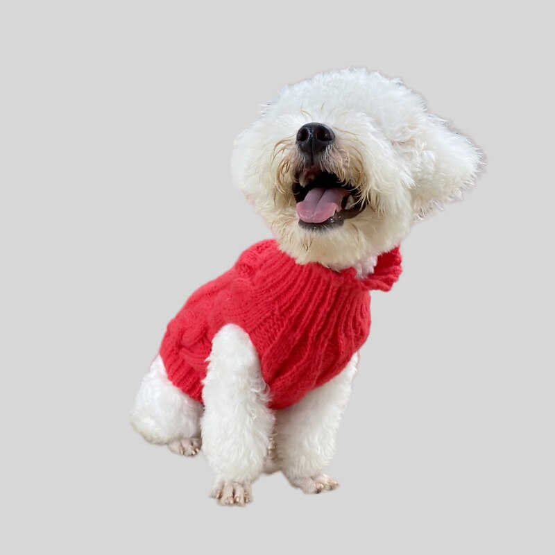 Dog Cat Sweater Jumper Fashion Party Winter Warm Breathable Soft Washable Comfortable Christmas Halloween Christmas Outdoor Casual Daily Dog Clothing for Bichon Frise Pomeranian Baby Pet Papillon4