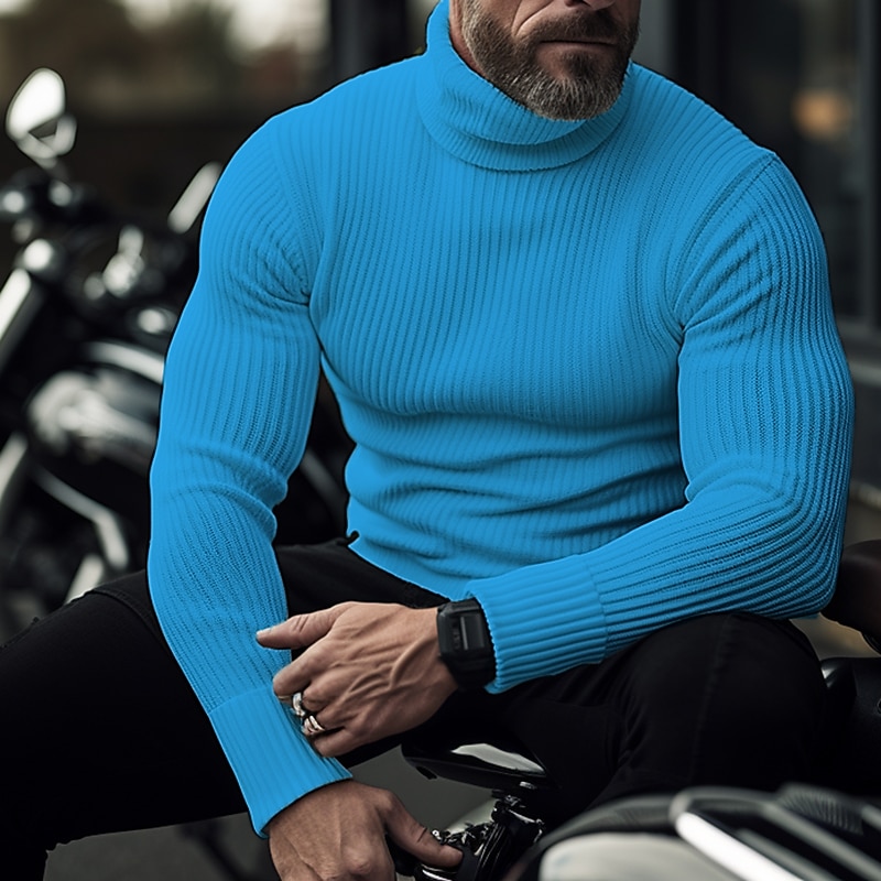 Men's Turtleneck Sweater Pullover Sweater Jumper Knit Sweater Ribbed Knit Regular Tops Pitted Plain Roll Neck Keep Warm Modern Contemporary Casual Daily Wear Clothing Apparel Fall Winter Black White2