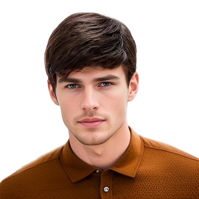 Mens Brown Wig Short Layer Wavy Wigs for Men Natural Synthetic Hair Wig for Man Men Guy Cosplay Anime Party Costume Anime