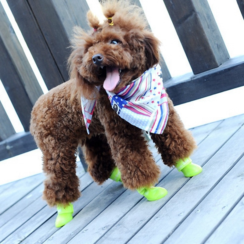 Candy Rubber Dog Shoes Pet Rain Shoes Waterproof Spring/Summer New Anti slip Pet Rain Shoes2