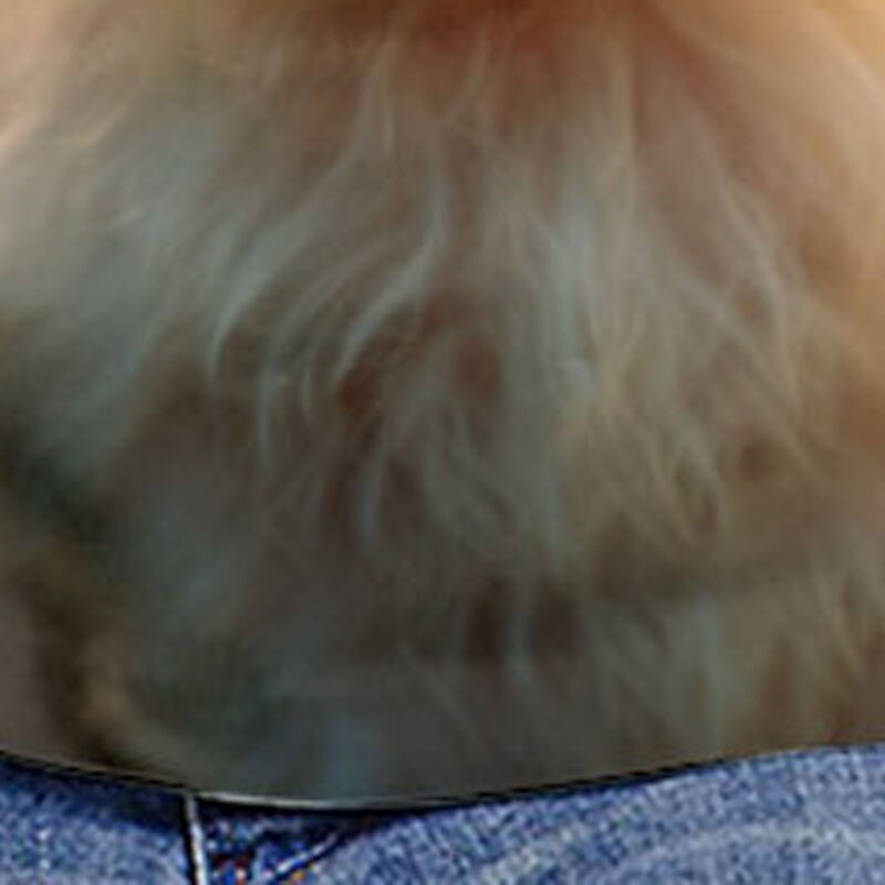 Girls' 3D Dog Tee Shirts Long Sleeve 3D Print Fall Winter Active Fashion Cute Kids 3-12 Years Crew Neck Outdoor Casual Daily Regular Fit2