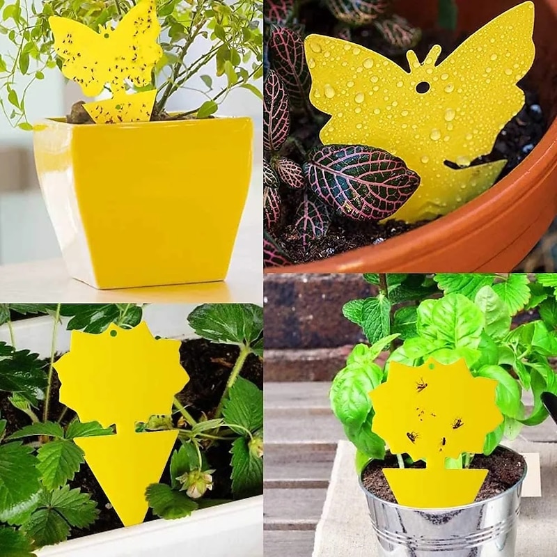 20PCS Fruit Fly Sticky Traps Insect Paper Kitchen Small Insect Trap Stickers Yellow Glue Sticky Fly catcher3