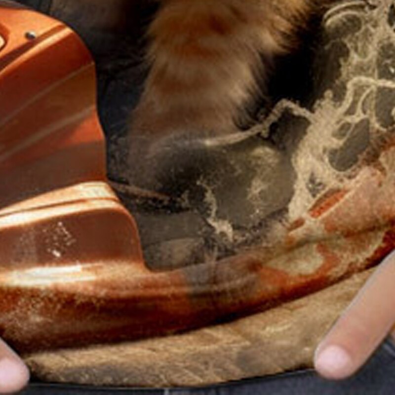 Boys 3D Cat Sweatshirt Pullover Long Sleeve 3D Print Spring Fall Fashion Streetwear Cool Kids 3-12 Years Crew Neck Outdoor Casual Daily Regular Fit3