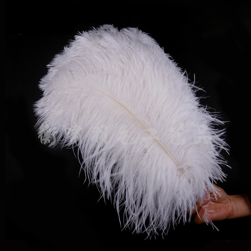 Carnival High Quality Ostrich Feather Dyed Large Ostrich Feather Desk Lamp Home Decoration Clothing Store Decorations Wedding Feathers