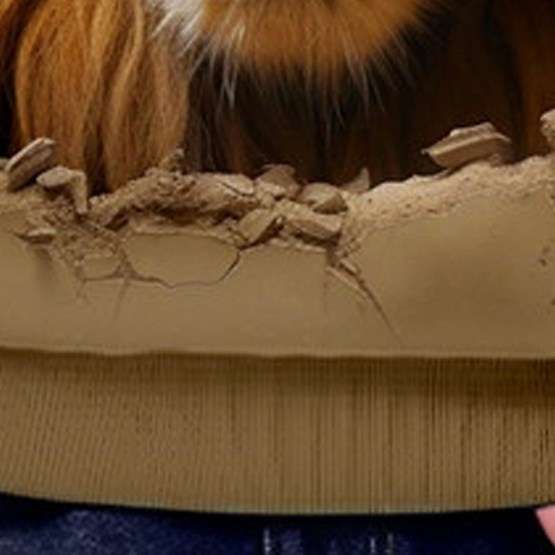 Boys 3D Lion Hoodie Pullover Long Sleeve 3D Print Spring Fall Fashion Streetwear Cool Kids 3-12 Years Hooded Outdoor Casual Daily Regular Fit3