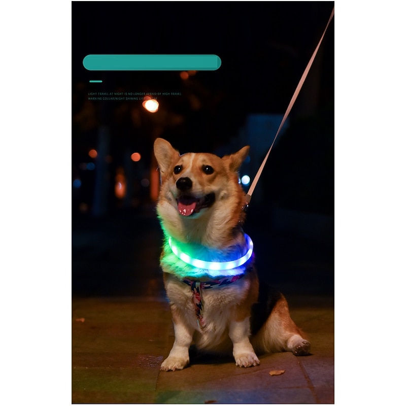 Rodents Dog Rabbits Reflective Band Light Up Collar Anti Lost Tracker Collar Reflective Adjustable Portable Rechargeable Safety Life Outdoor Hunting Running Solid Colored Husky Labrador Alaskan