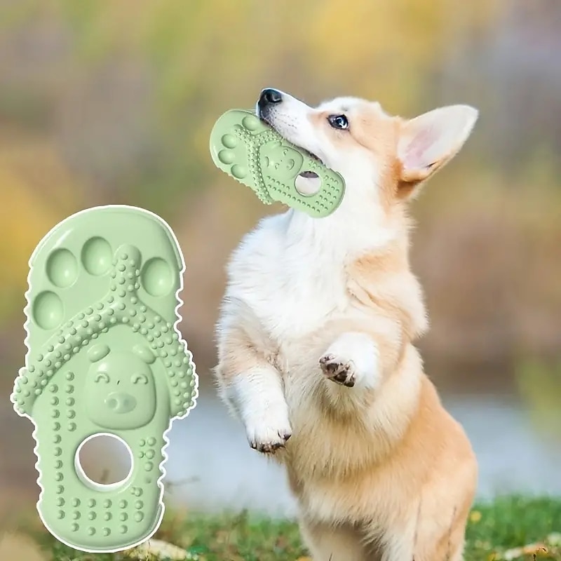 Durable Dog Squeaky Toy - Relieves Stress and Promotes Exercise with Slipper Shape Design2