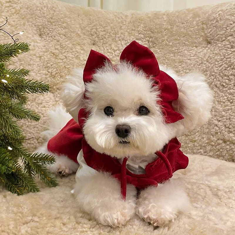 Dog Cat Dress Christmas Costume Christmas Outfit Party Casual Winter Breathable Soft Washable Comfortable Christmas Outdoor Casual Daily Dog Clothing for Bichon Frise Pomeranian Baby Pet Papillon4