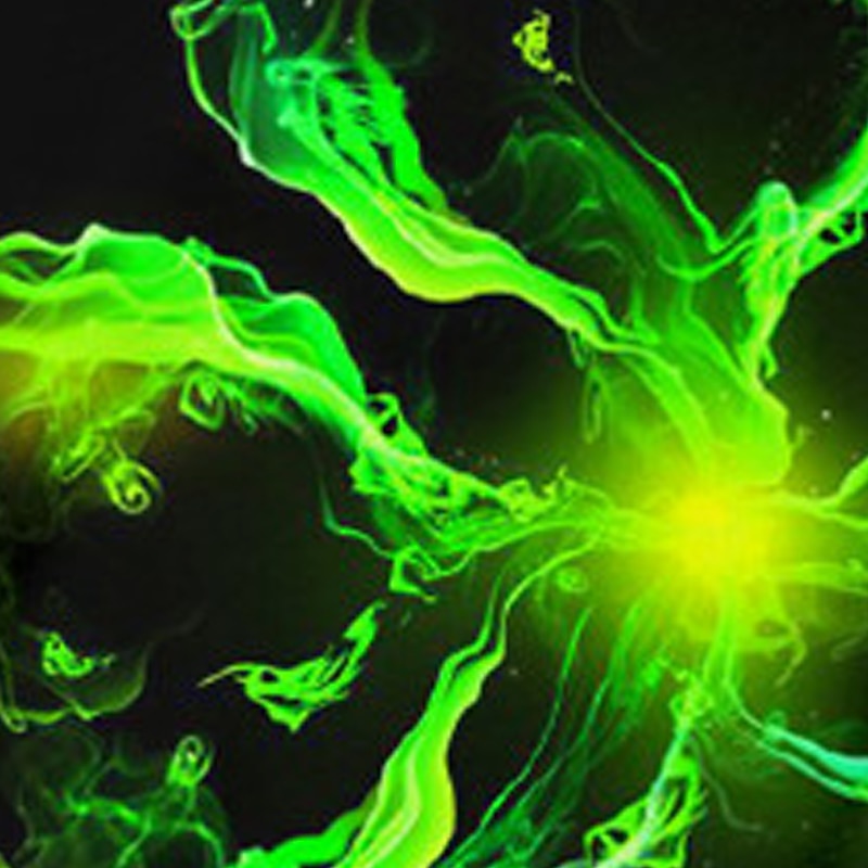 St. Patrick Boys 3D Four Leaf Clover Henley Shirt Long Sleeve 3D Print Spring Fall Sports Fashion Streetwear Polyester Kids 3-12 Years Crew Neck Outdoor Casual Daily Regular Fit4