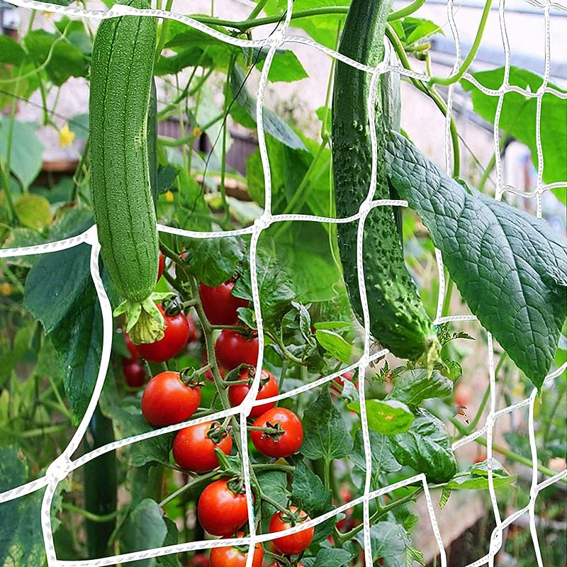 Trellis Netting Heavy-Duty Garden Plant Trellis Netting for Climbing Plants Outdoor Indoor Grow Net for Beans Tomatoes Peas Pumpkin Flowers3