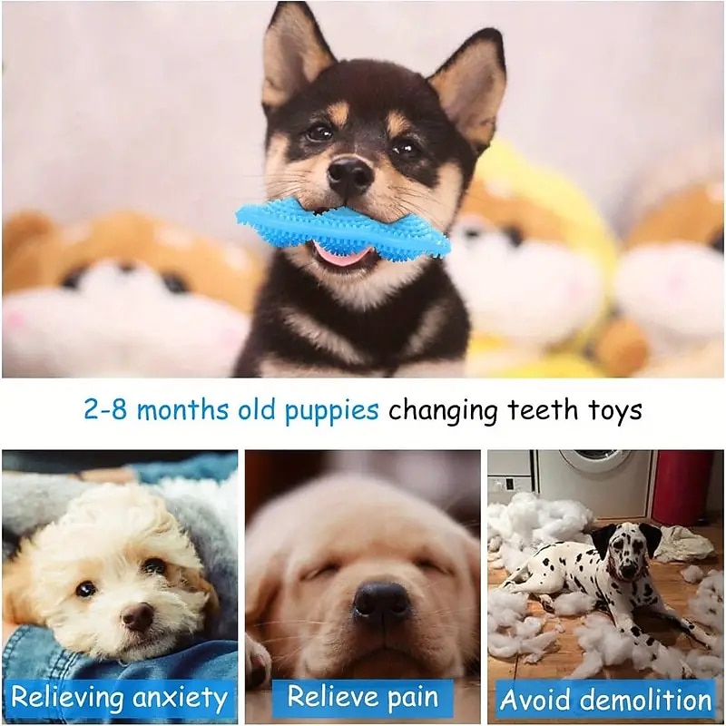 Chew Toy Interactive Toy with Durable Pet Exercise Teething Rope Toy Teething Toy for Dog Indoor Outdoor Pet Play2