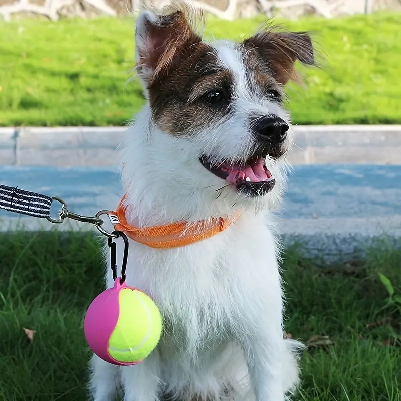 Hands-free Pet Toy Tennis Ball Holder Pet Tennis Rack Toy Ball Sheath Supplies4