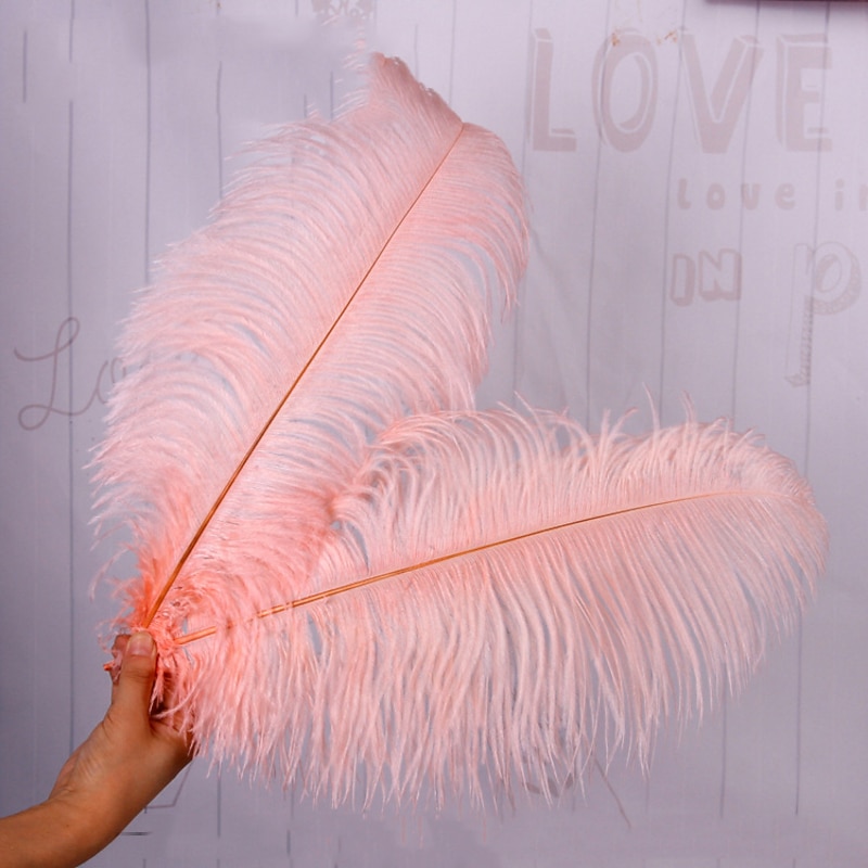 Carnival High Quality Ostrich Feather Dyed Large Ostrich Feather Desk Lamp Home Decoration Clothing Store Decorations Wedding Feathers4