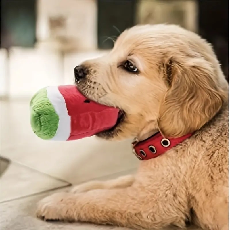 Soft Green Watermelon Squeaky Plush Toy - Perfect Chew Toy for Small Dogs & Puppies!2