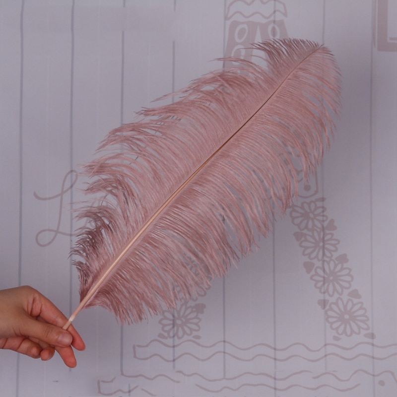 Carnival High Quality Ostrich Feather Dyed Large Ostrich Feather Desk Lamp Home Decoration Clothing Store Decorations Wedding Feathers3