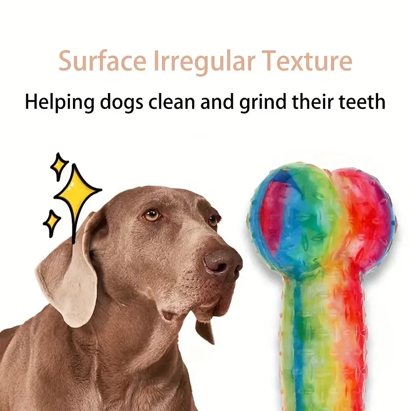 Chew Toy Interactive Toy Squeak Toy with Durable Pet Exercise Teething Toy for Dog Indoor Outdoor Pet Play2