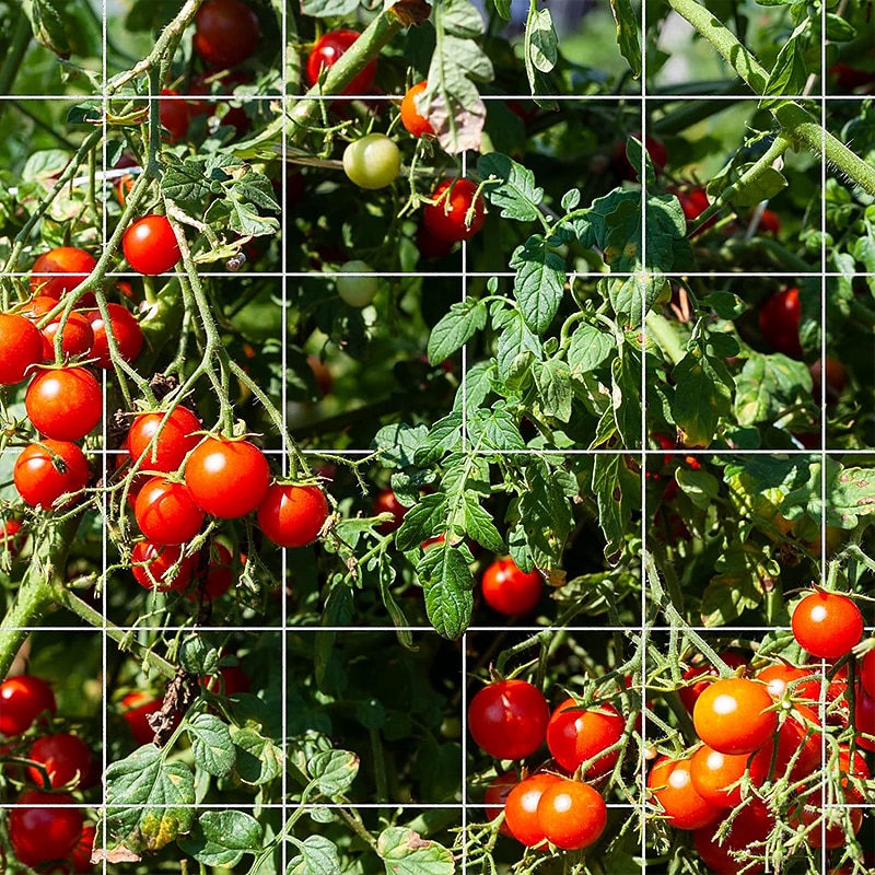 Trellis Netting Heavy-Duty Garden Plant Trellis Netting for Climbing Plants Outdoor Indoor Grow Net for Beans Tomatoes Peas Pumpkin Flowers