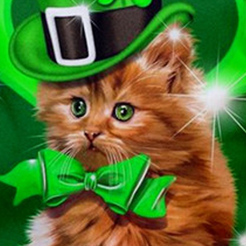 St. Patrick Girls' 3D Cat Four Leaf Clover Tee Shirt Short Sleeve 3D Print Summer Active Fashion Cute Polyester Kids 3-12 Years Crew Neck Outdoor Casual Daily Regular Fit3