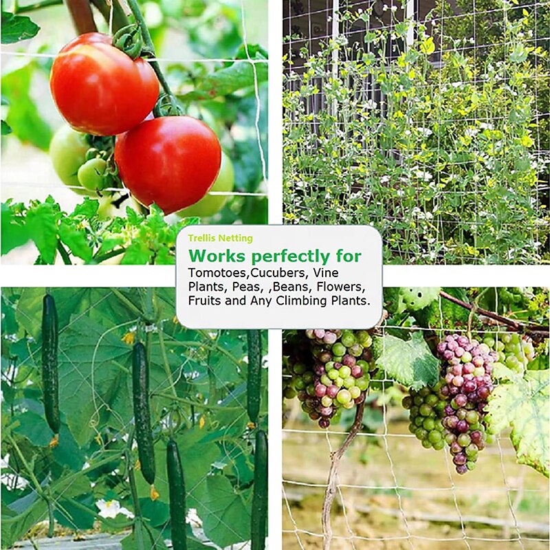 Trellis Netting Heavy-Duty Garden Plant Trellis Netting for Climbing Plants Outdoor Indoor Grow Net for Beans Tomatoes Peas Pumpkin Flowers4