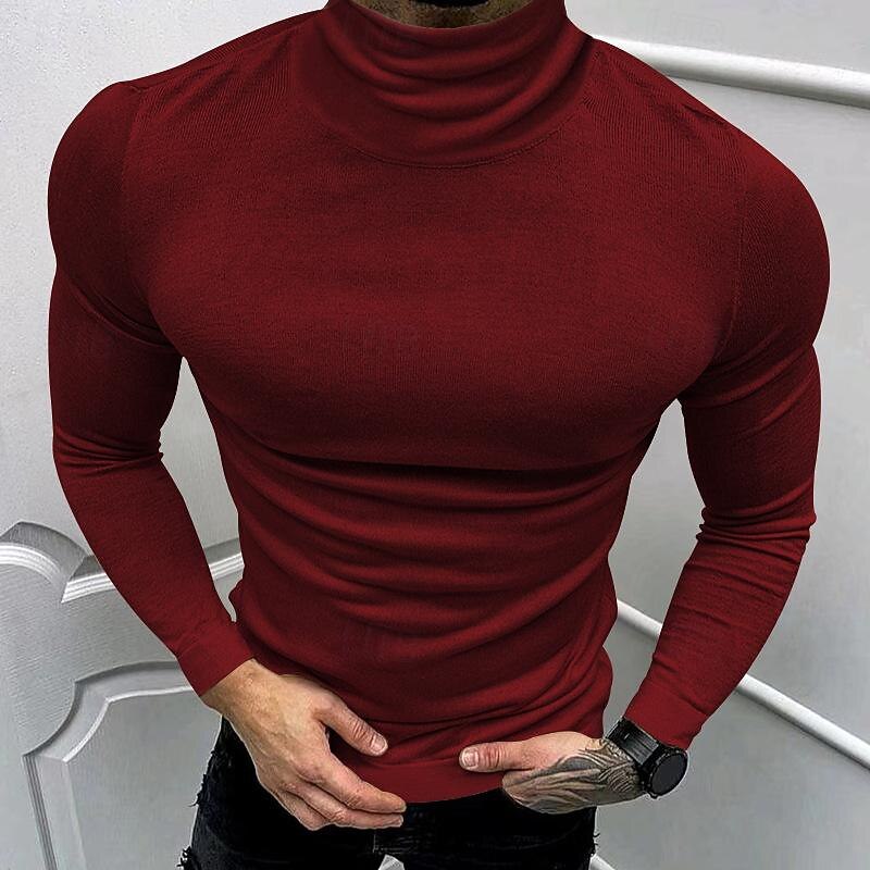 Men's T Shirt Tee Turtleneck shirt Knit Tee Long Sleeve Turtleneck Spring &  Fall Plain Fashion Designer Basic Knit Vacation Street Going out Black Wine Navy Blue Top Tee for Men3