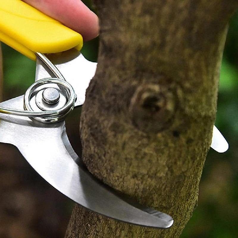 Gardening Fruit Tree Girdling Knife, Girdling Shears, Seedling Grape Girdling Knife, Bark Cutter, Garden Orchard Citrus Girdling Shears3