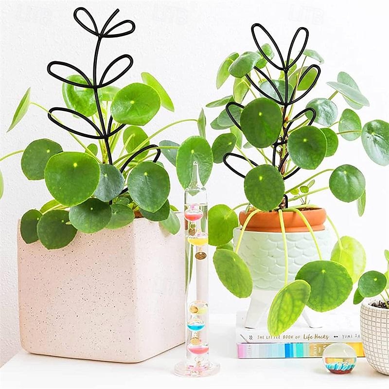 Plant Climbing Frame Rattan Climbing Iron Flower Frame Outdoor Potted Plant Iron Bracket Plant Support Fixing Rod3