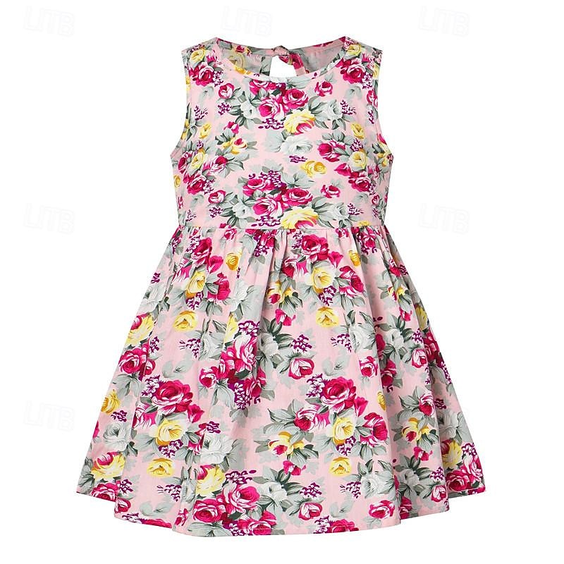 Summer  Girl's Dress Children's Sleeveless Printed Princess Dress Girl Baby Fragmented Flower Children's Dress2