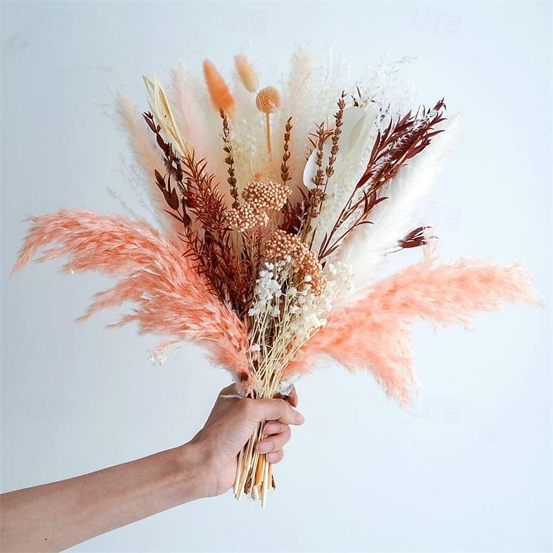 Yunnan Dried Flower Eternal Flower Small Reed Dried Flower Combination Flower Bundle Dried Flower Pampas Grass Dried Flower3