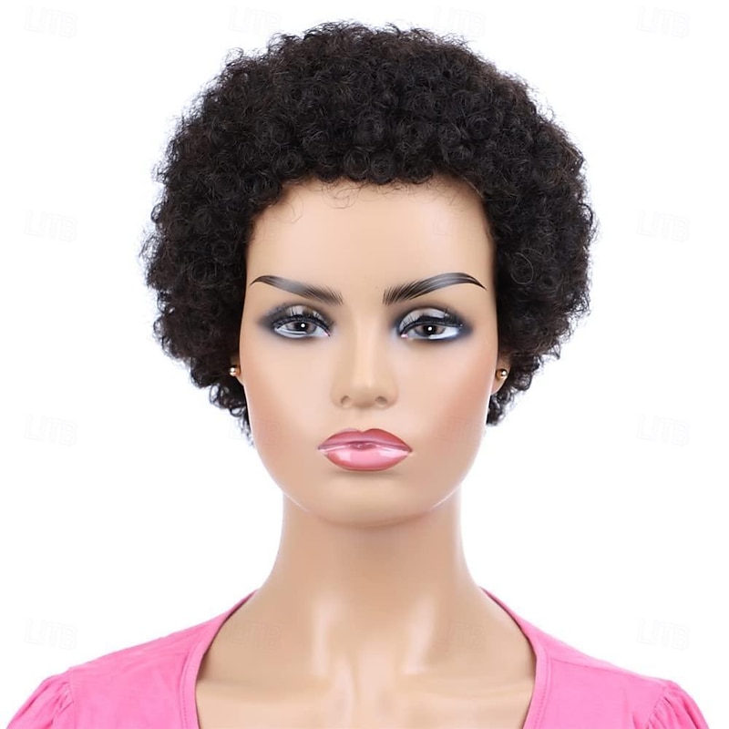 Afro Kinky Curly Human Hair Short Wigs for Women Full and Fluffy Machine Made Wig Human Hair Pixie Cut Natural Looking Glueless Hair Replacement Wig Black Color3