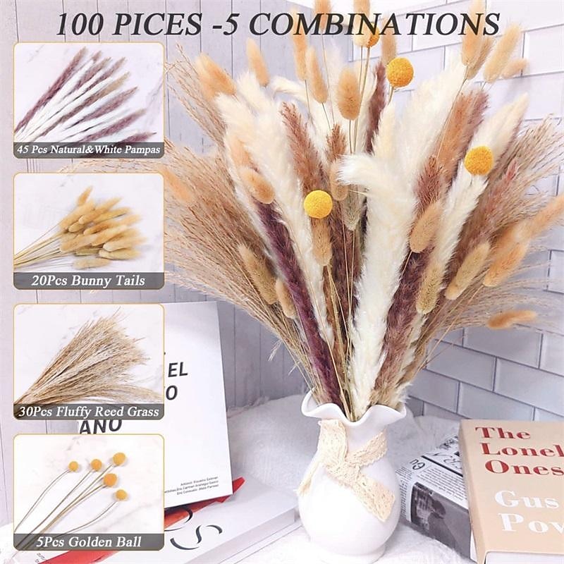 Small Reed Dried Flower Bouquet Small Dust Brush Small Reed Grass Reed Dried Flower Rabbit Tail Grass Yunnan