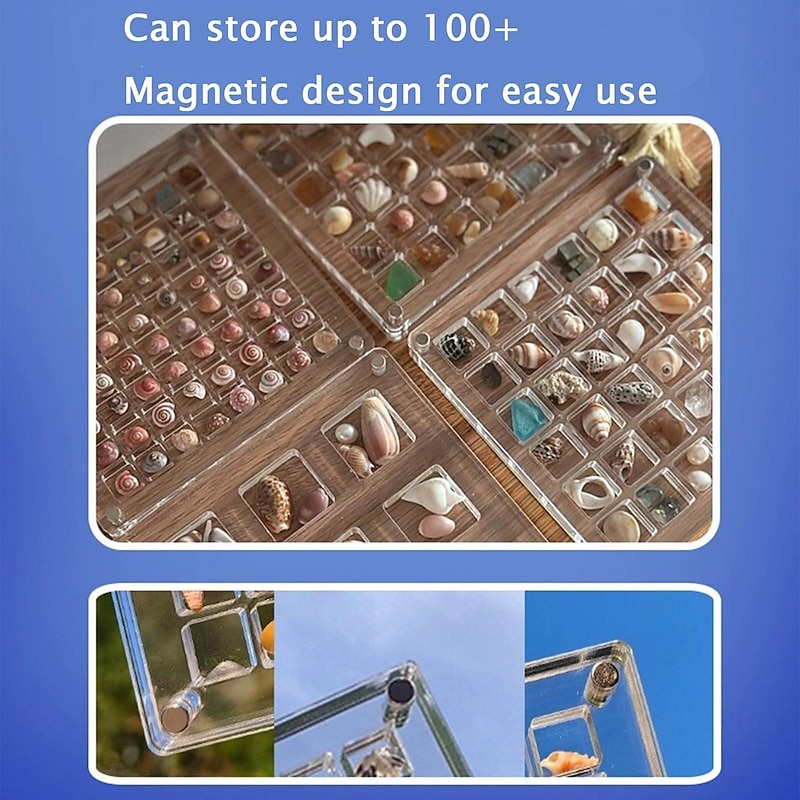 Acrylic Magnetic Seashell Display Box Premium Quality Stunning Showcase to Present and Protect Your Cherished Seashell Collection, Perfect for Home Decor or Gift Giving(Seashell Not Included)2