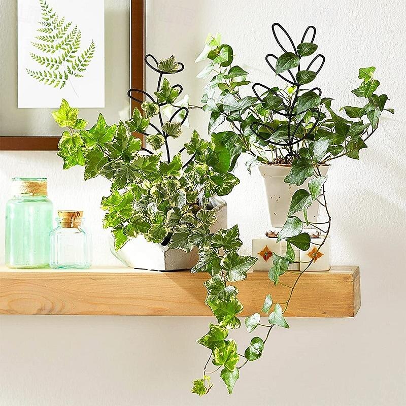 Plant Climbing Frame Rattan Climbing Iron Flower Frame Outdoor Potted Plant Iron Bracket Plant Support Fixing Rod4