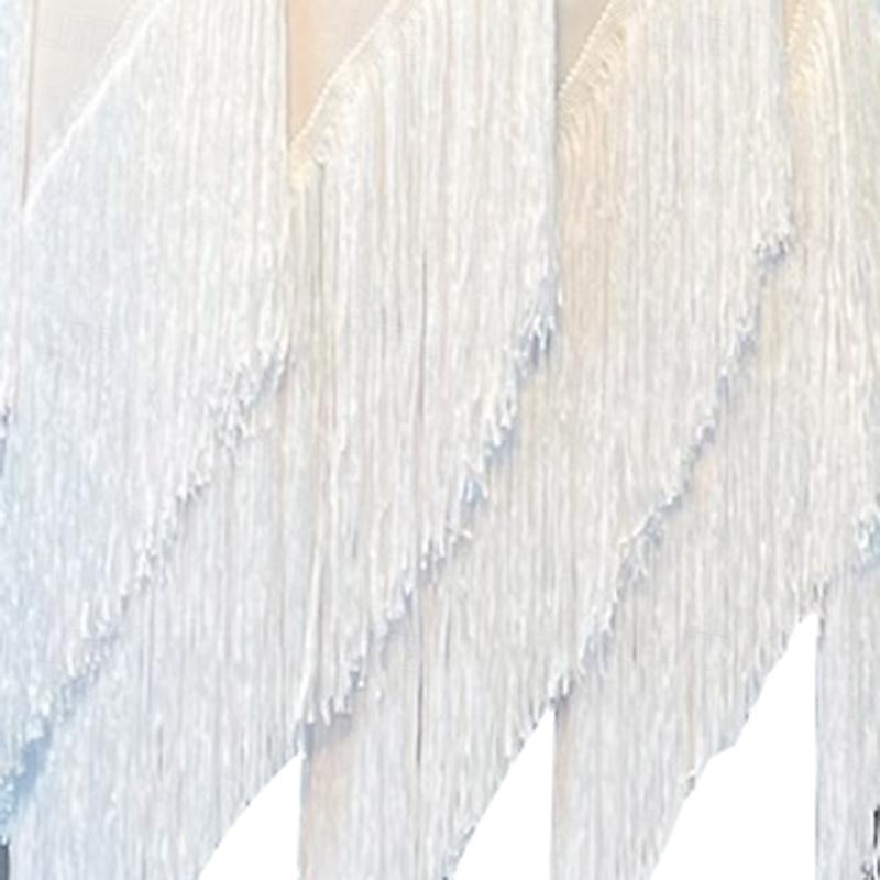 Latin Dance Dress Tassel Women's Performance Training Long Sleeve High Spandex Tulle4