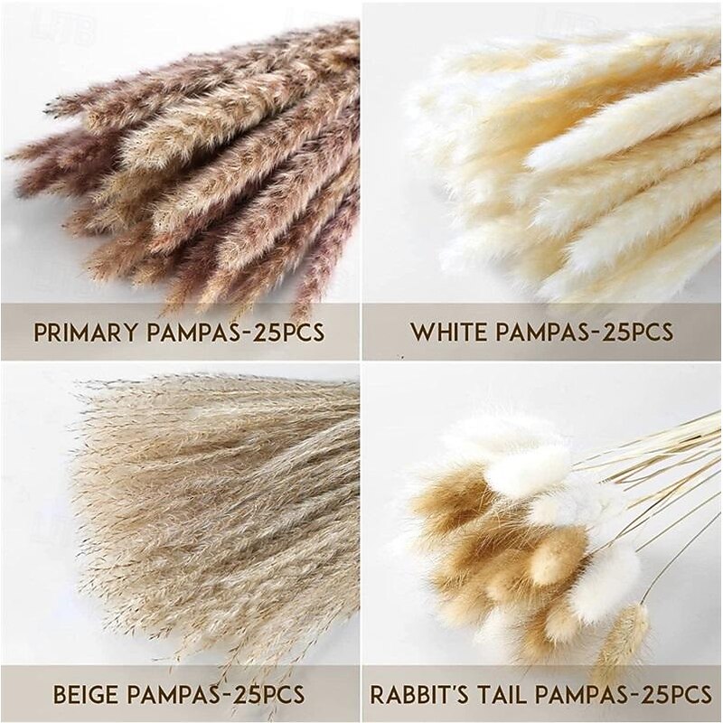 Small Reed Dried Flower Bouquet Small Dust Brush Small Reed Grass Reed Dried Flower Rabbit Tail Grass Yunnan3