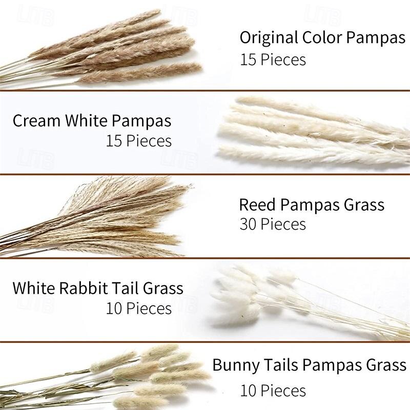 Small Reed Dried Flower Bouquet Small Dust Brush Small Reed Grass Reed Dried Flower Rabbit Tail Grass Yunnan4