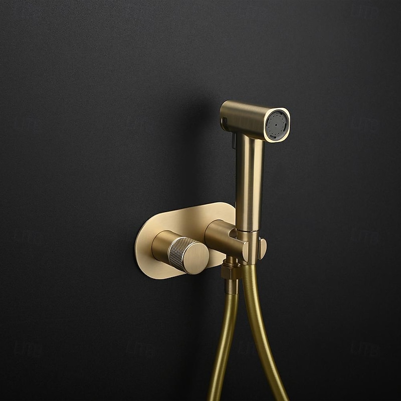 Concealed Bidet Sprayer 2Functions Water Flow Brass Valve Button Adjustable Cold/ Hot Mixer PVC HoseBrushed Gold Grey White