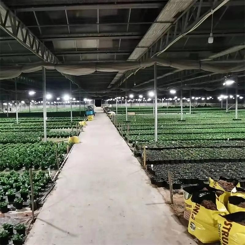 LED Plant Growing Light Imitation Light LED Light 36W/50W/100W for Better Vegetable Culture 220V E274