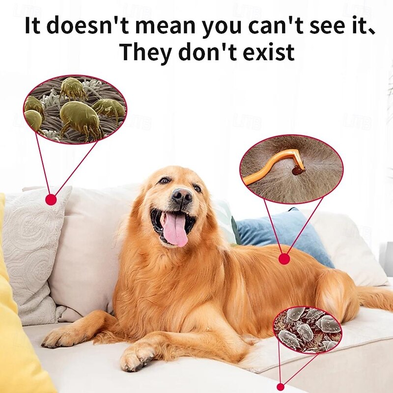 USB Rechargeable Ultrasonic Pest Collar – Flea, Tick, and Lice Repeller for Cats and Dogs with Mountaineering Buckle3