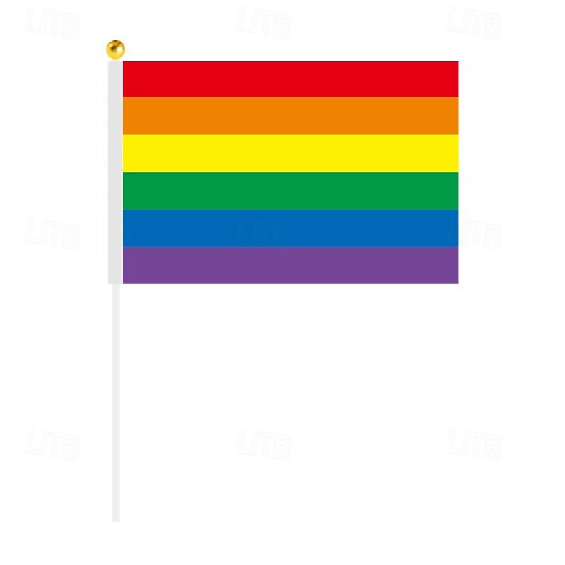 Rainbow Halloween Flag LGBT LGBTQ Gay Lesbian Kid's Adults' Men's Women's Boys' Pride Parade Pride Month Easy Halloween Costumes Dress Up2