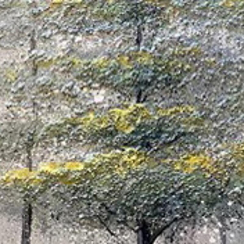 Mintura Handmade Texture Oil Paintings On Canvas Large Wall Art Decoration Modern Abstract Tree Landscape Picture For Home Decor Rolled Frameless Unstretched Painting3