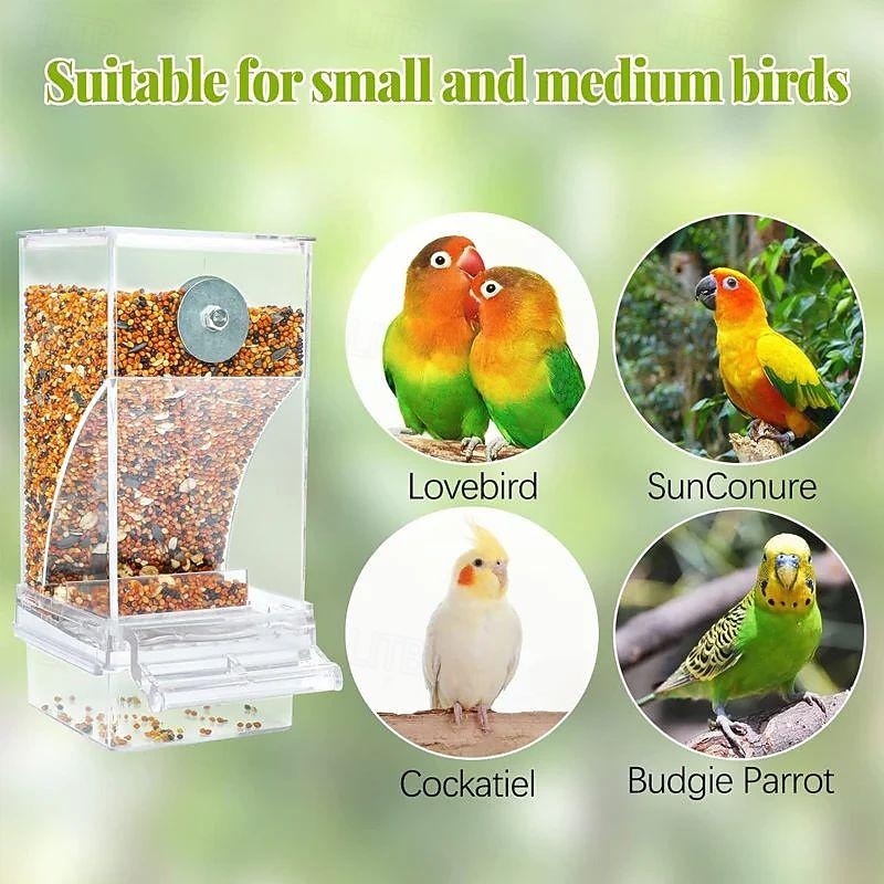 No Mess Automatic Bird Feeder,Automatic No-Spill Transparent Bird Feeder - Anti-Splash and Mess-Free Feeding Box3