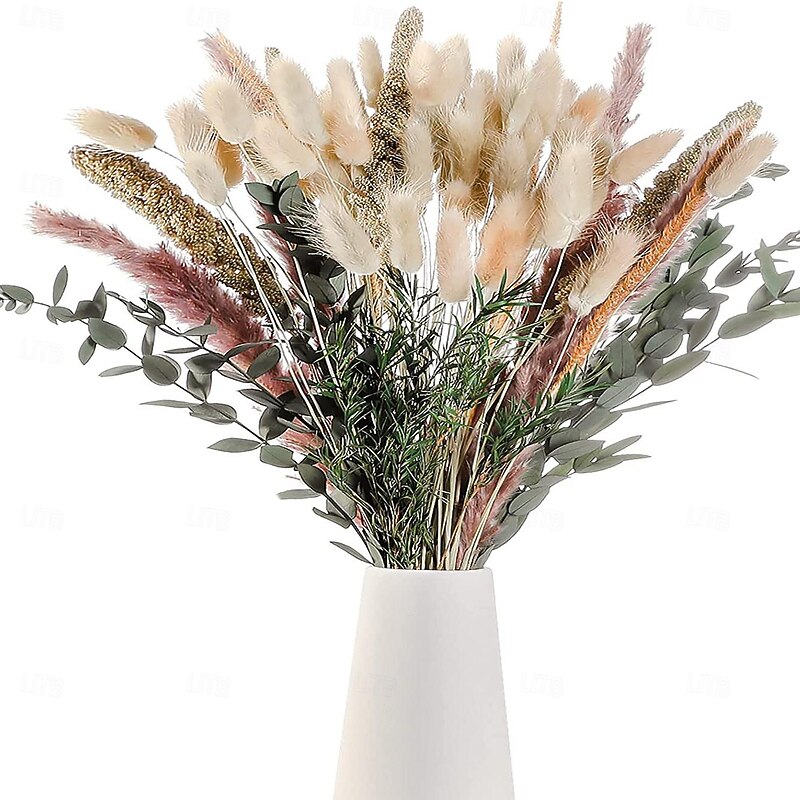 Pampas Grass Decor Set - Natural Dried Flowers for DIY Arrangements, Non-Toxic Home & Wedding Decor, Use without Power