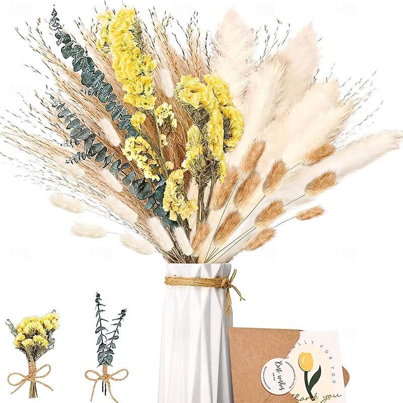 Pampas Grass Decor Set - Natural Dried Flowers for DIY Arrangements, Non-Toxic Home & Wedding Decor, Use without Power2